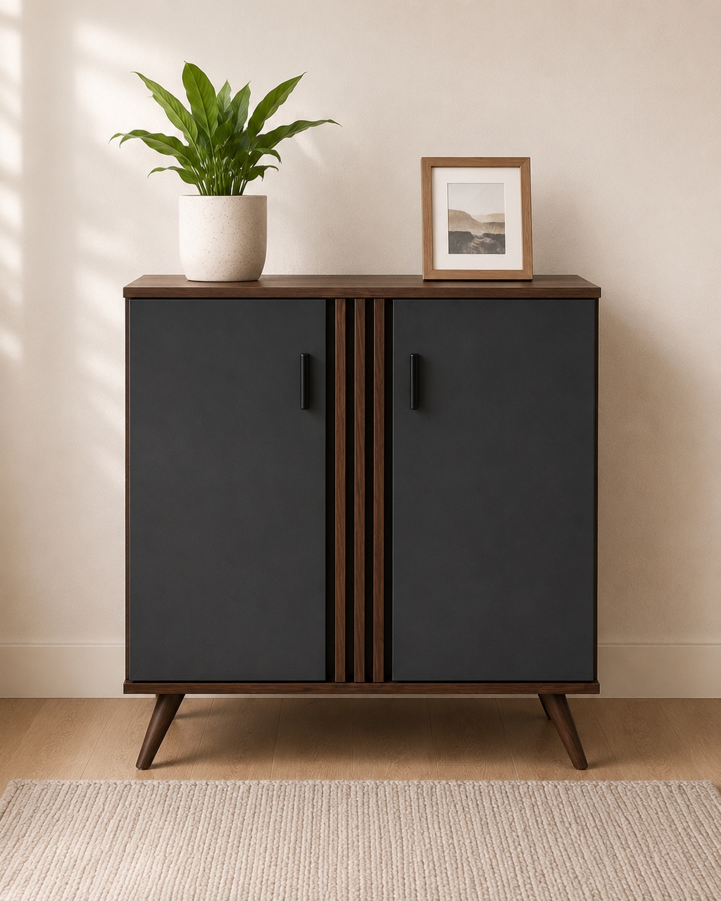Kova 2 Door Shoe Cabinet (80cm)
