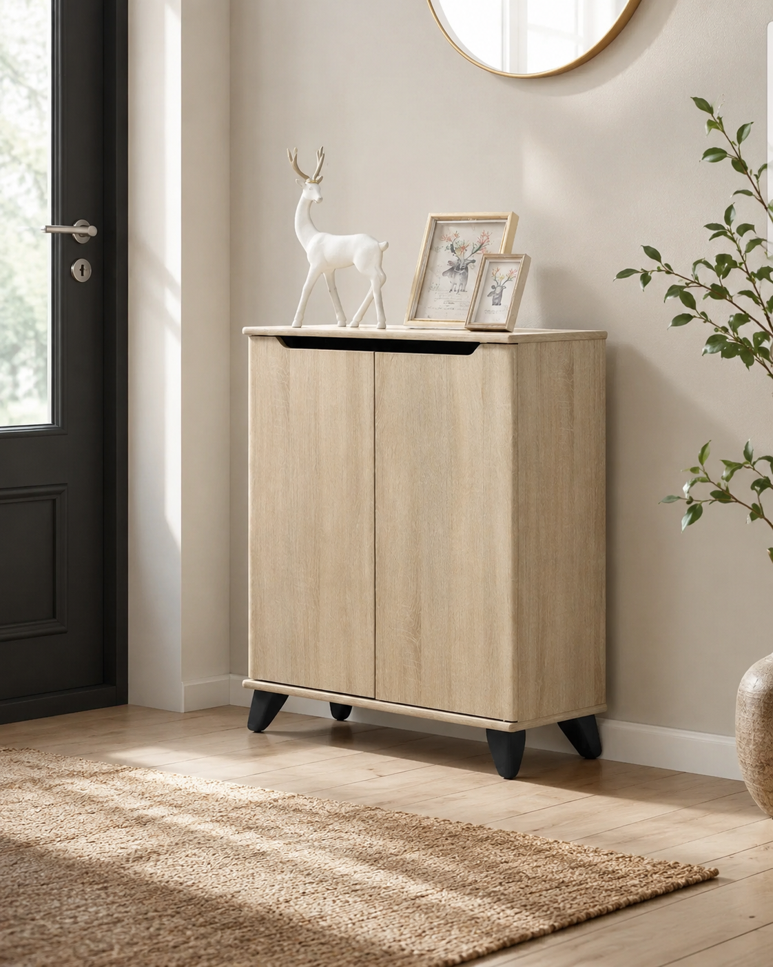 Liora 2 Door Shoe Cabinet
