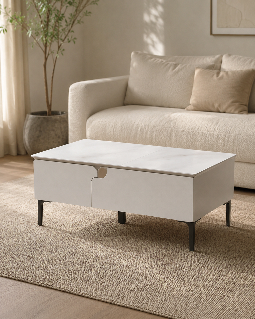 Brava Storage Coffee Table