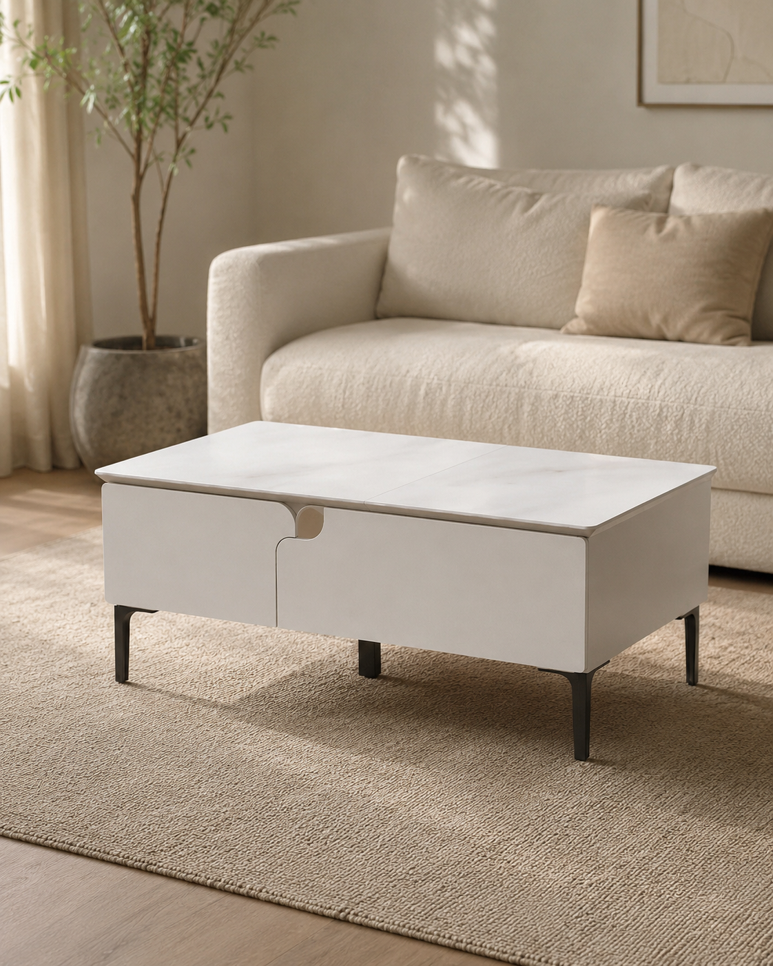 Brava Storage Coffee Table