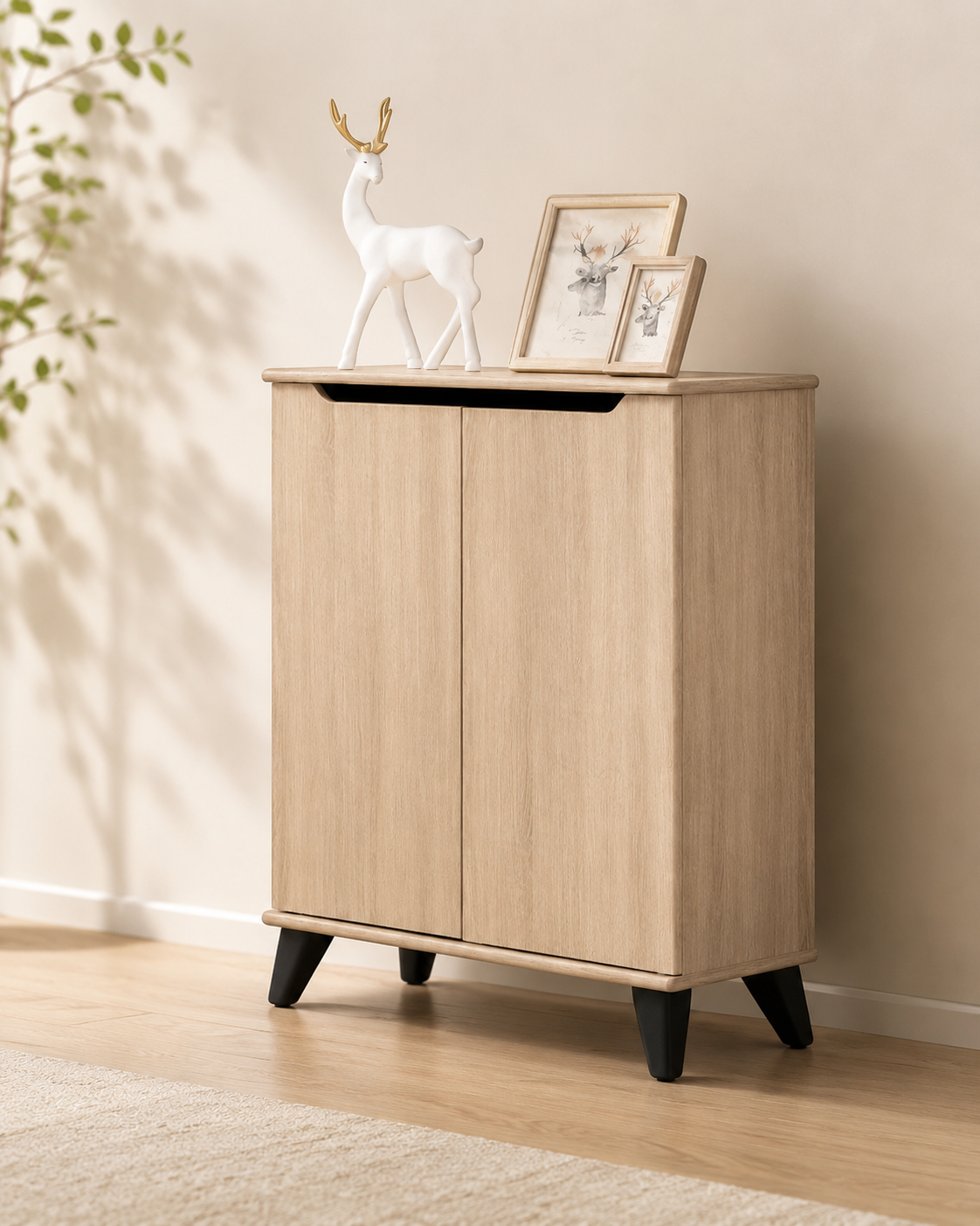 Liora 2 Door Shoe Cabinet
