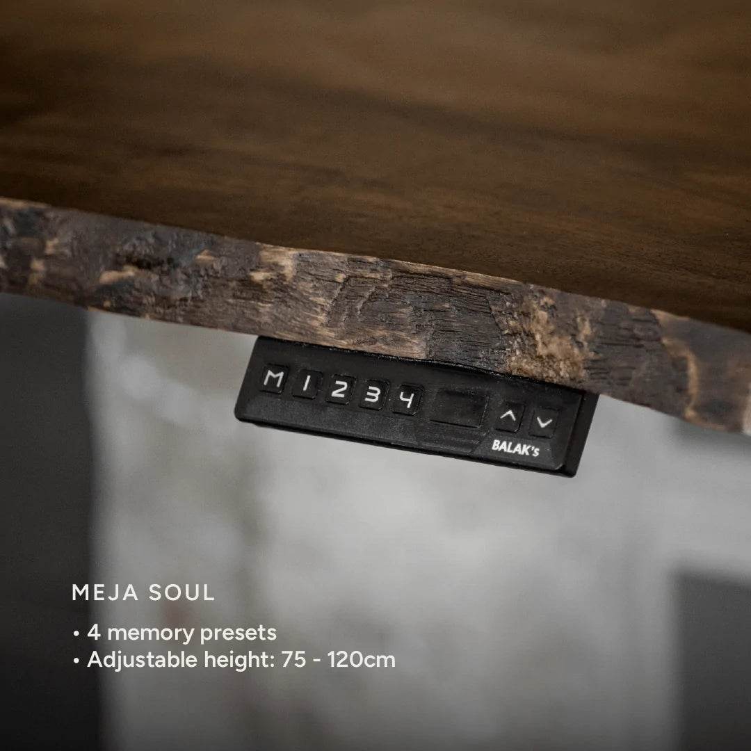 BALAK's Meja Standing Desk
