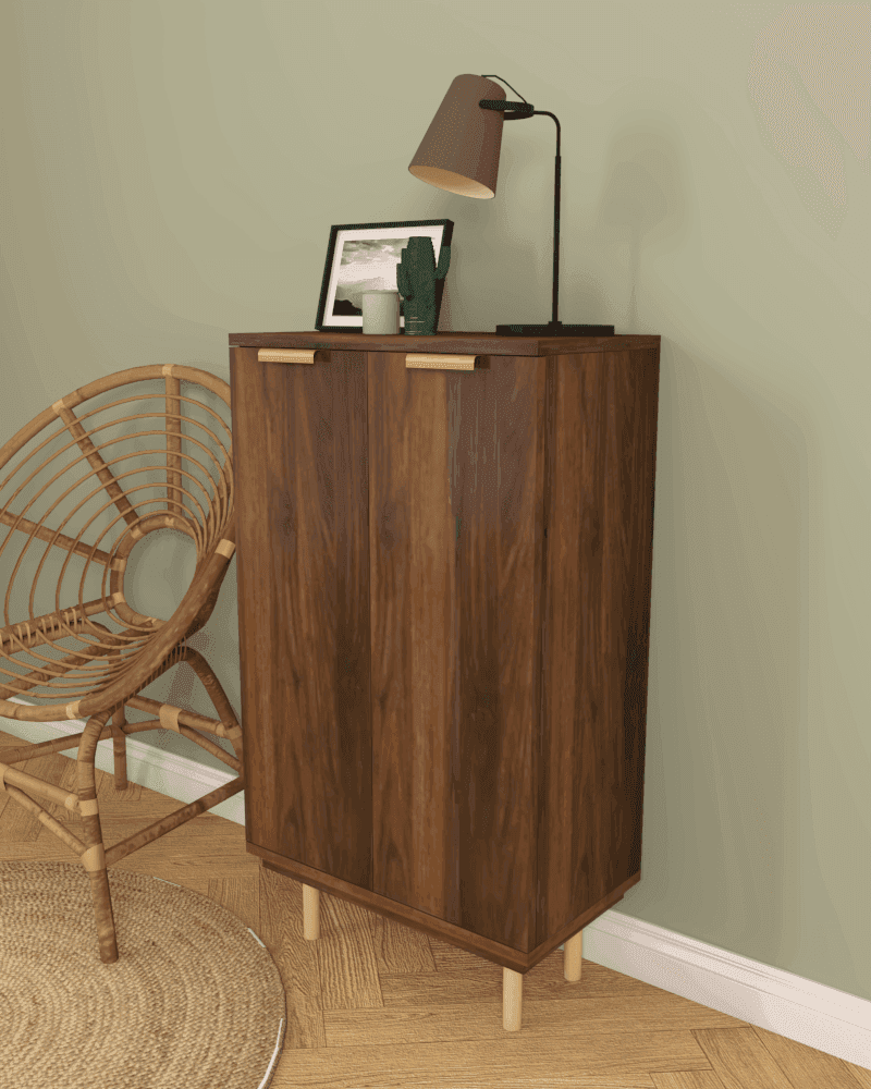 Megafurniture | Cheyenne 2 Door Shoe Cabinet | Shoe Cabinet
