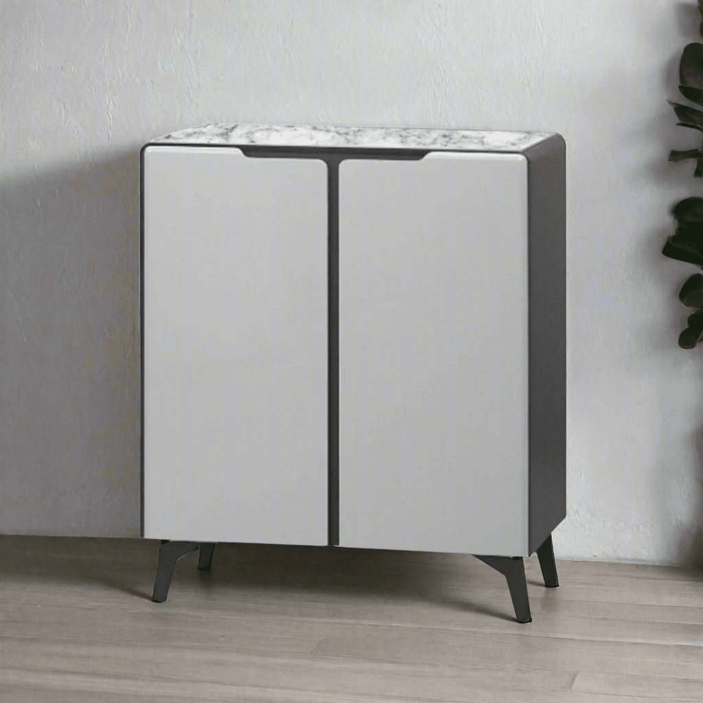 Galcy 2 Door Shoe Cabinet with Tempered Glass Top