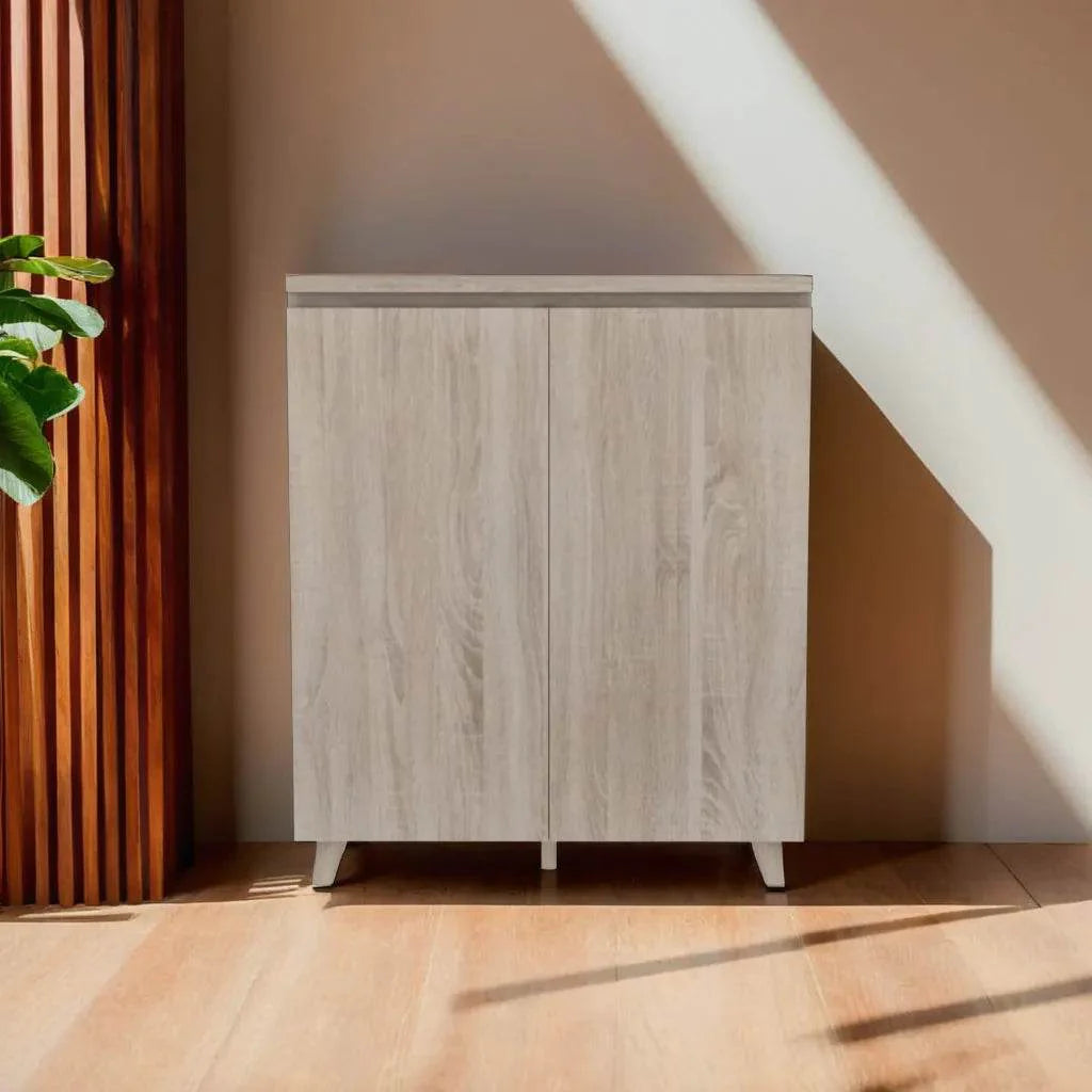 Mason 2 Door Shoe Cabinet