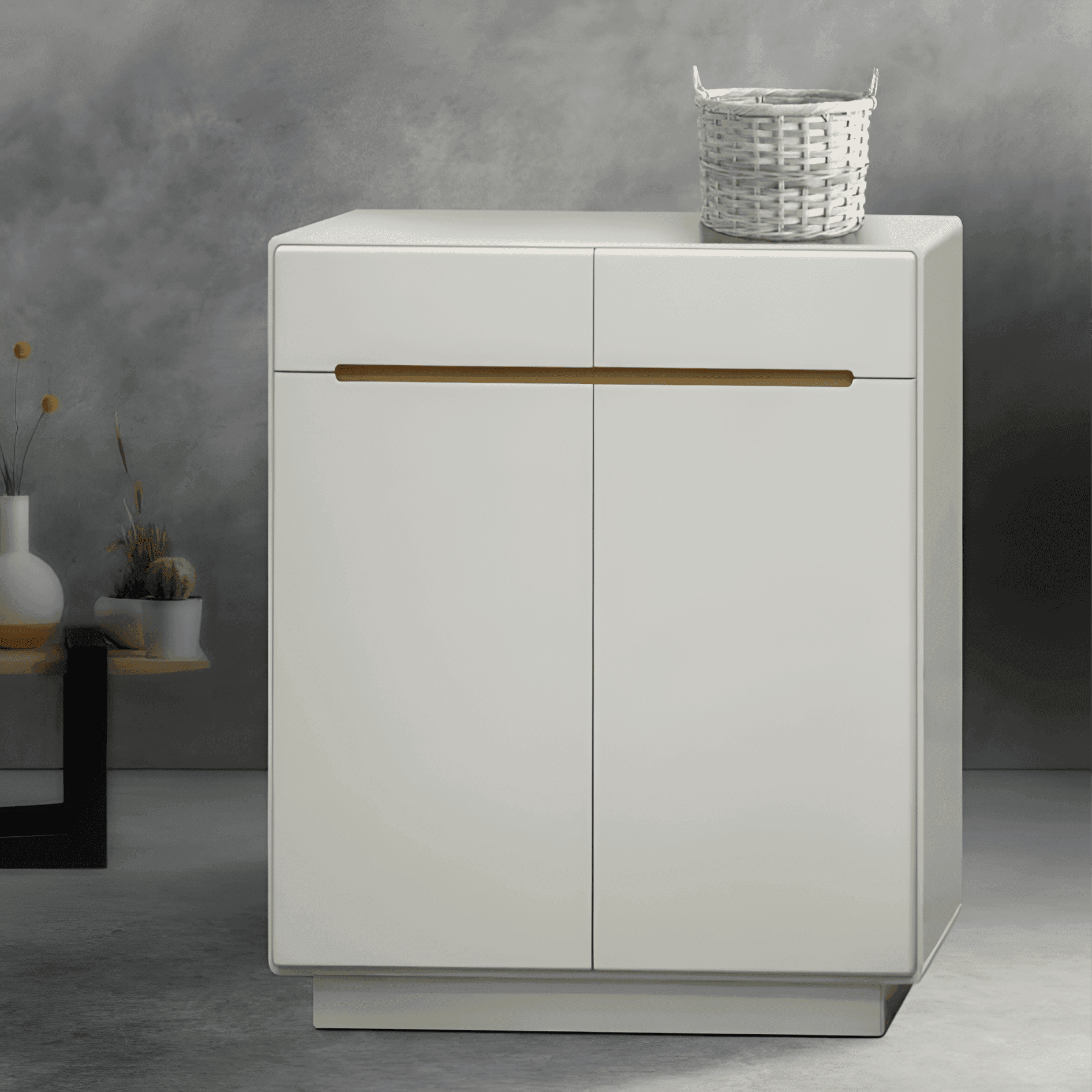 Nanda 2 Door Shoe Cabinet