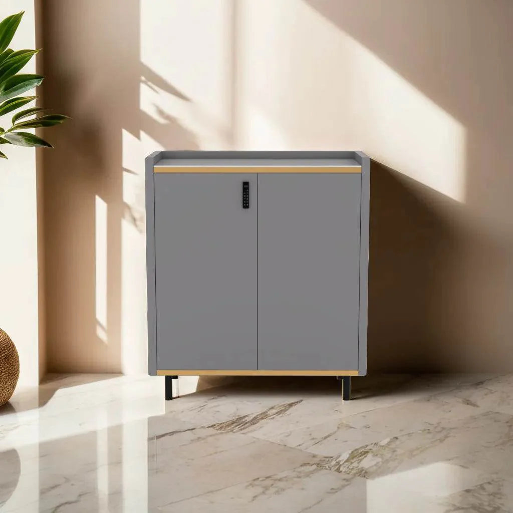 Megafurniture | Sonya 2 Door Shoe Cabinet with Digital Lock | Shoe Cabinet