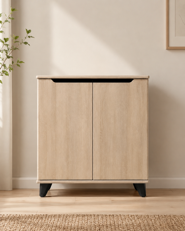 Liora 2 Door Shoe Cabinet
