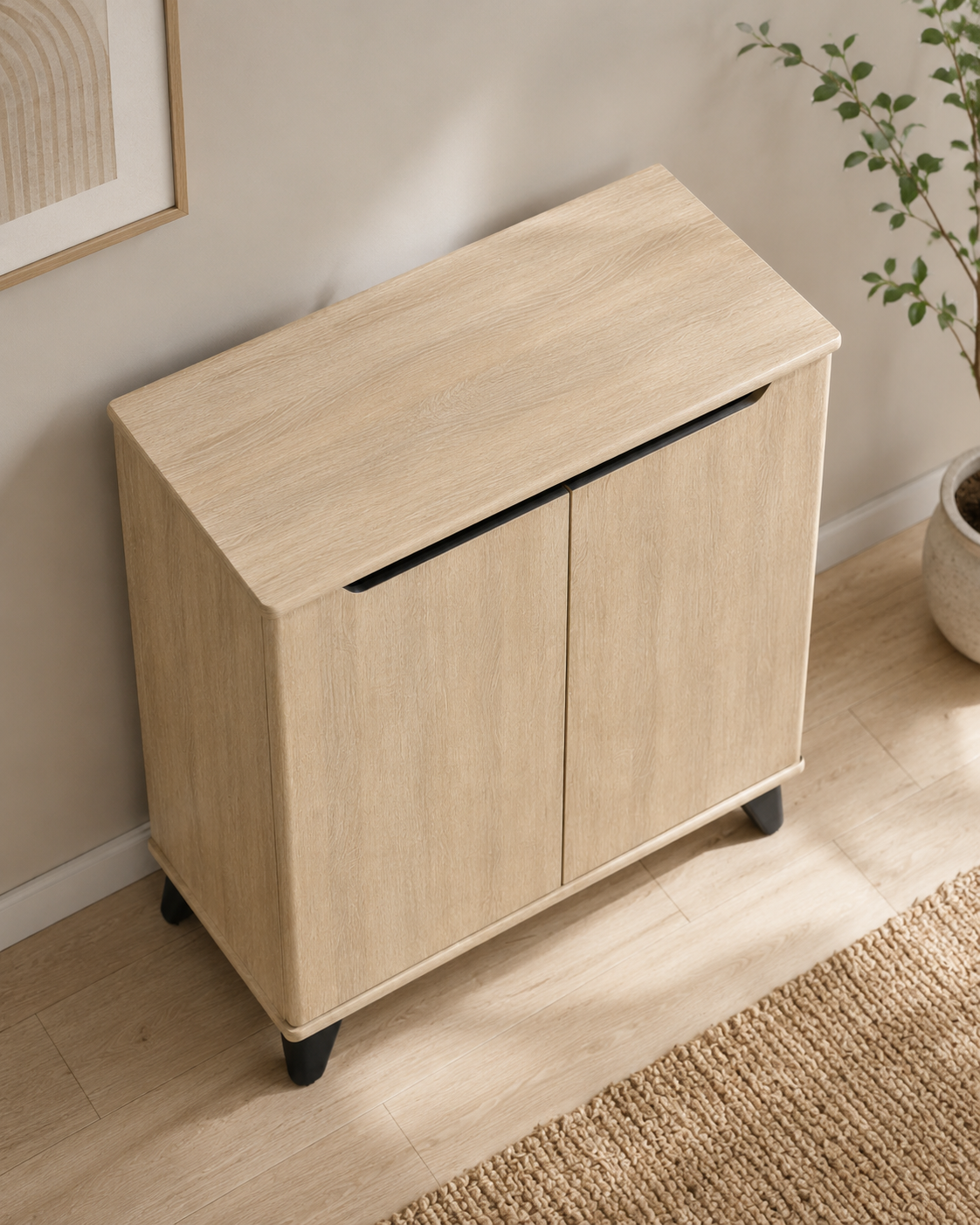 Liora 2 Door Shoe Cabinet