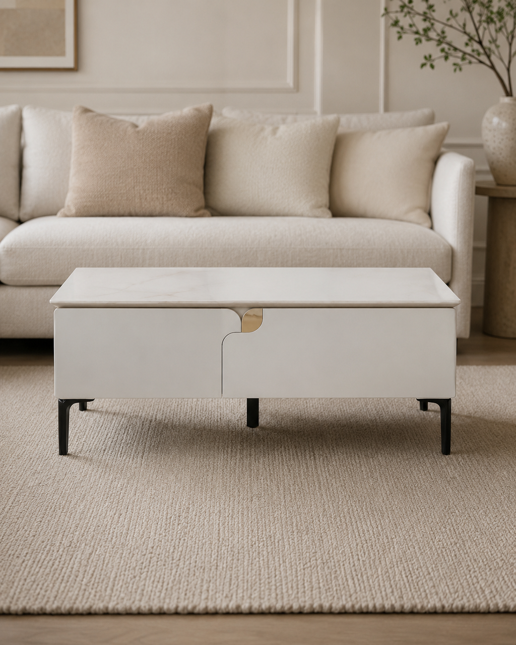 Brava Storage Coffee Table